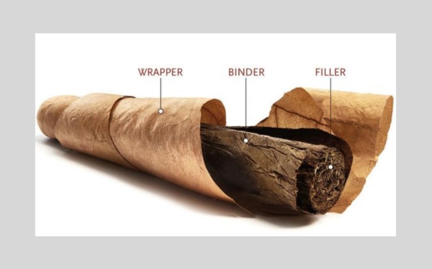 Parts of a Cigar