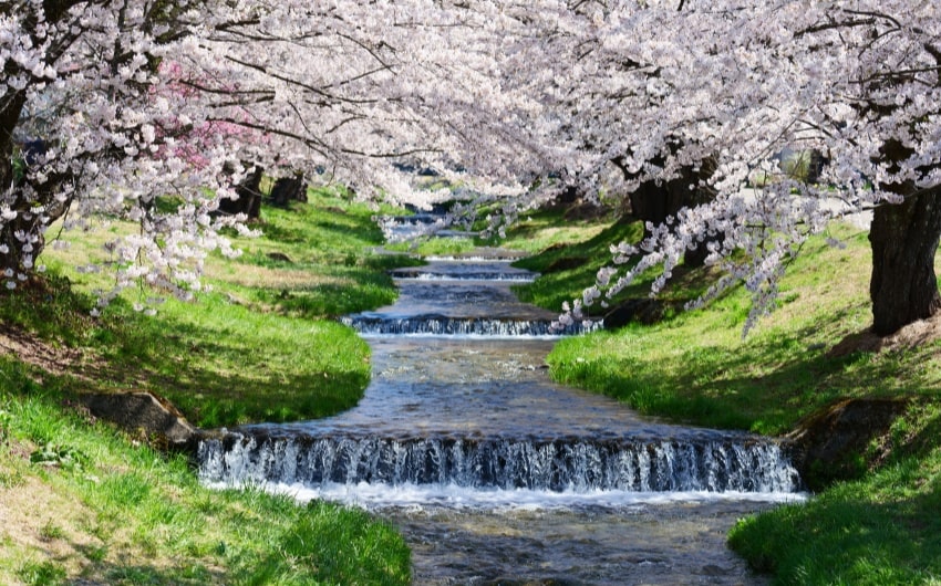 Water in Japanese