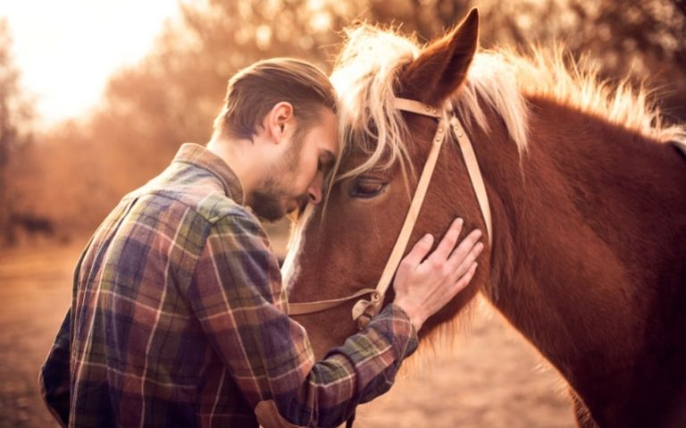 Discover 160 Unique Horse Names for Your Equine Friend