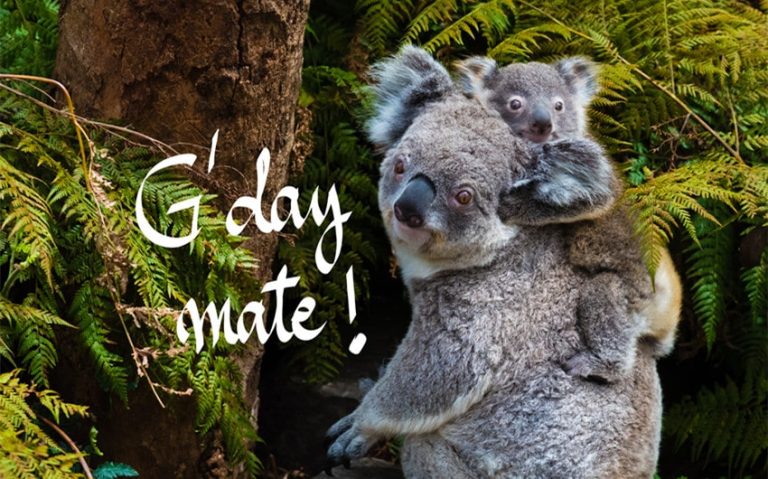 70 Common Australian Phrases and Words to Speak Like a Local