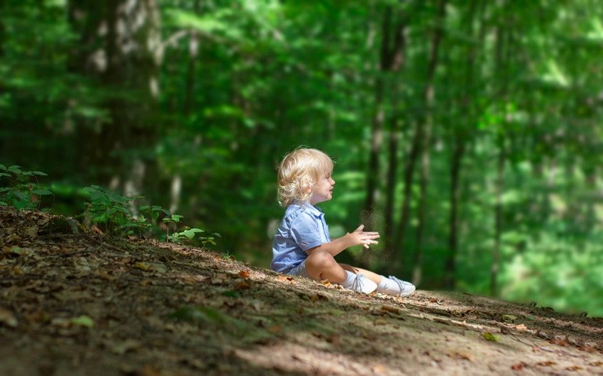 Names That Mean Forest Across Different Cultures