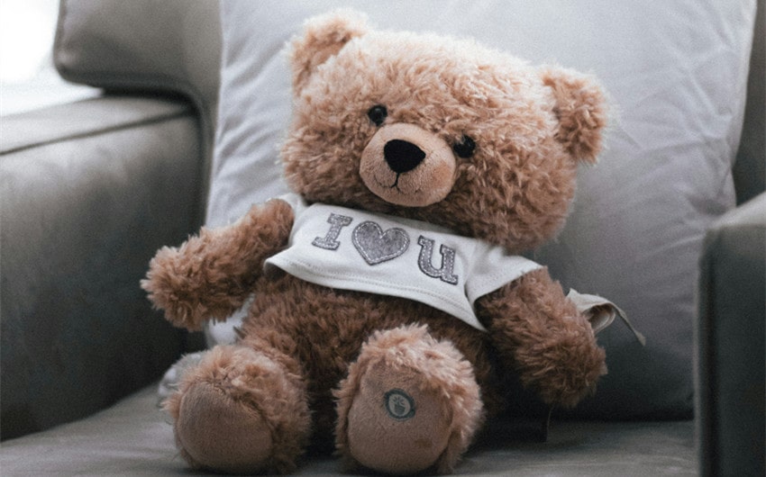 Teddy Bear