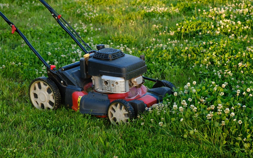 lawn care slogans