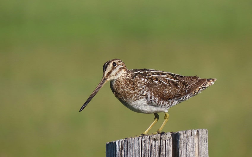 Bear Lake National Wildlife Refuge