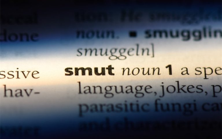 Discovering Smut Book Meaning: A Guide to This Steamy Genre