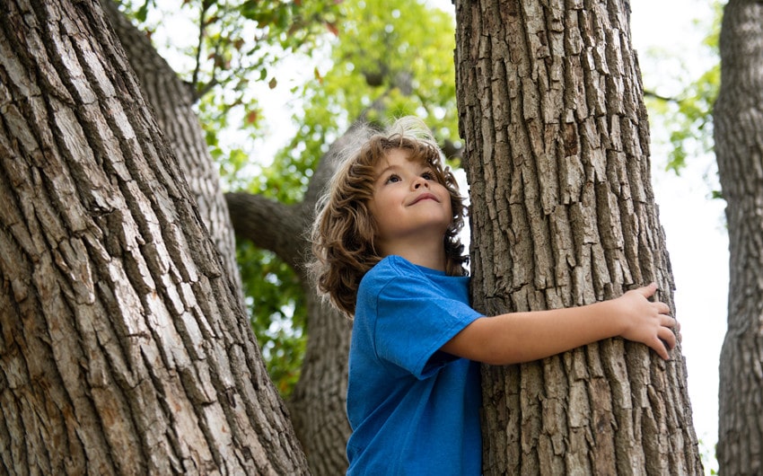 65 Strong and Unique Tree Names for Boys You’ll Love