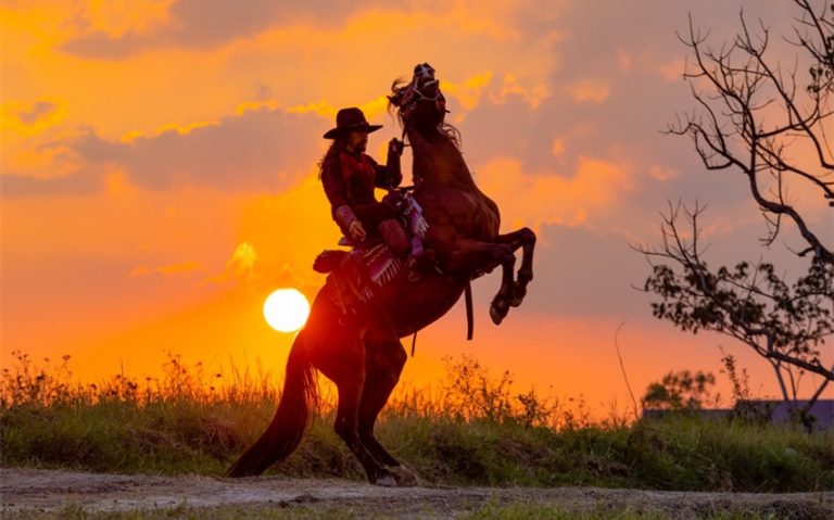 210 Cowboy Pick Up Lines for Your Wild West Crush